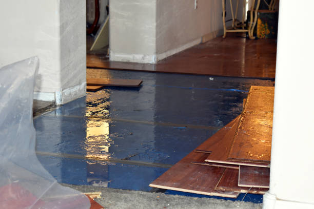 Professional Basement Flooding technician working in Highland Park, IL